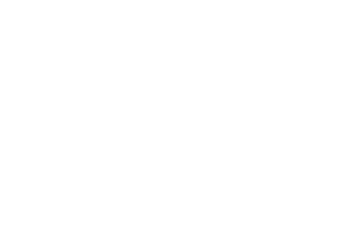 Rogue Rhino Athletics